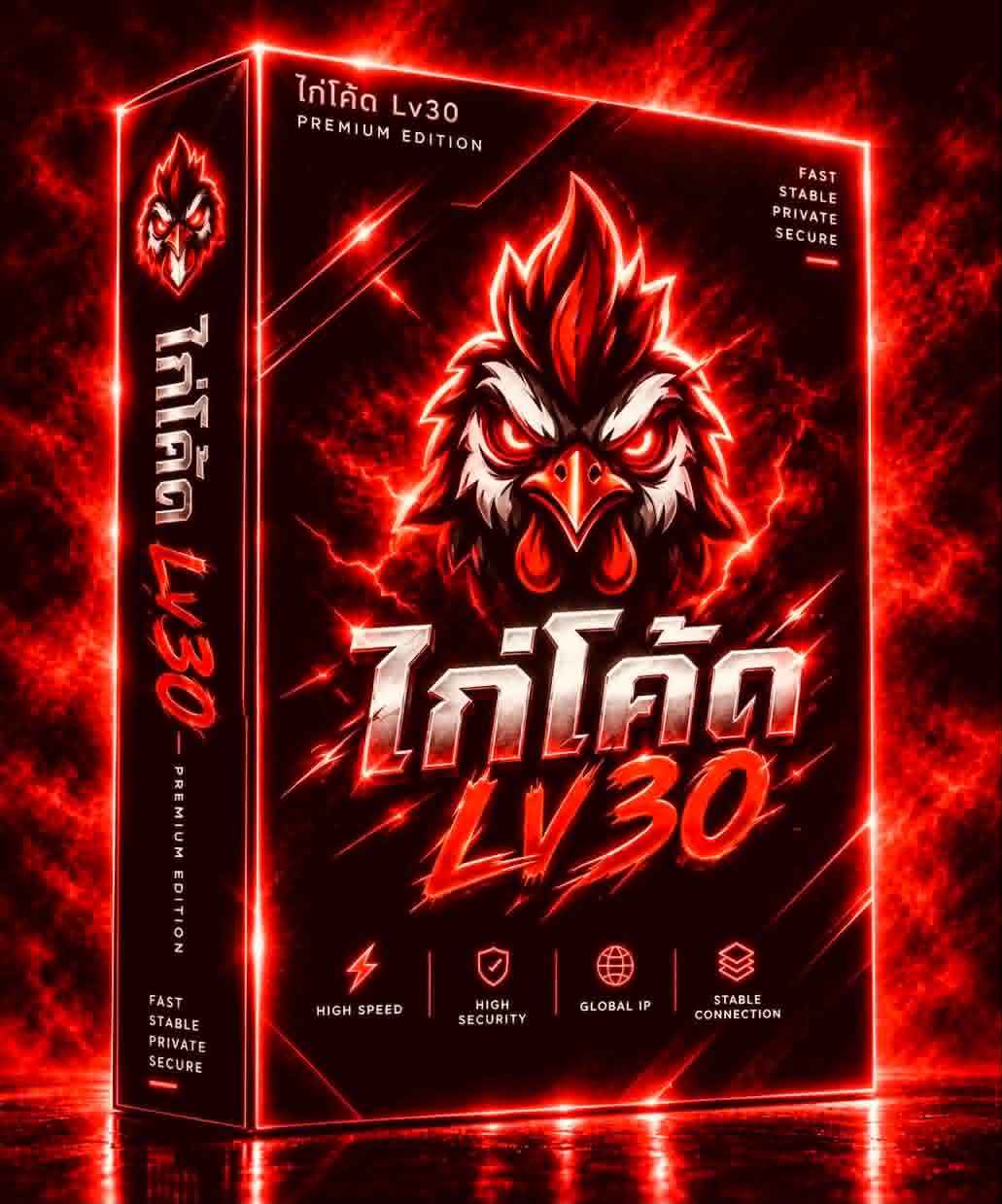 ไก่โค้ด LV.30